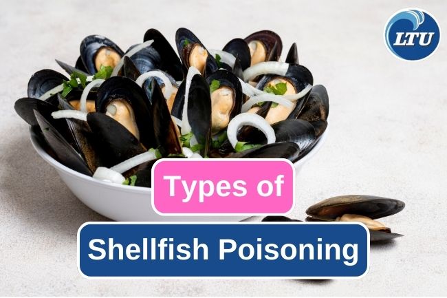 4 Types Of Shellfish Poisoning You Should Know